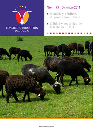 Revista del Consorcio N.13