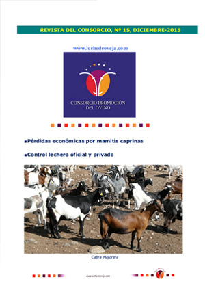 Revista del Consorcio N.15