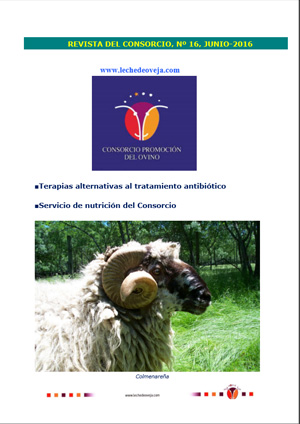 Revista del Consorcio N.16