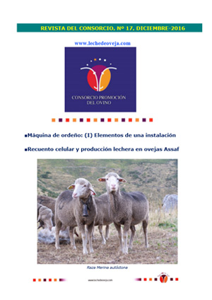 Revista del Consorcio N.17