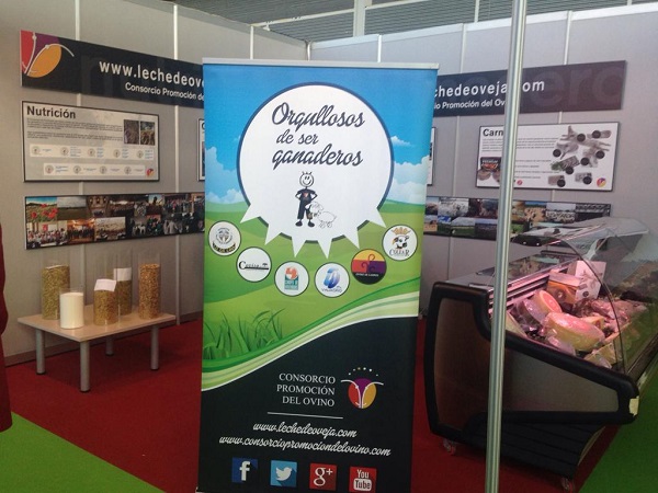 stand1
