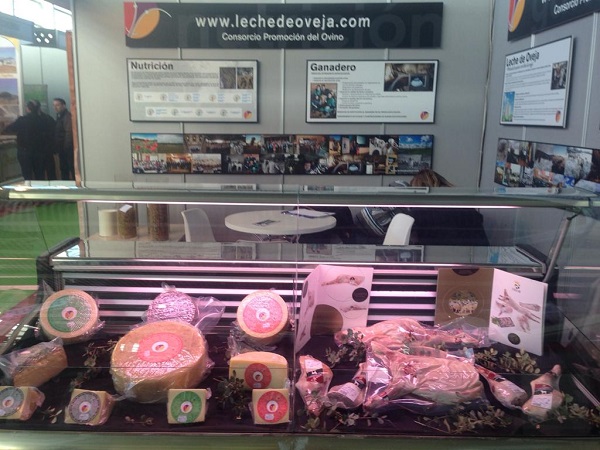 stand2