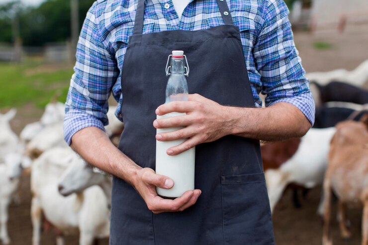 Leche de oveja fresca