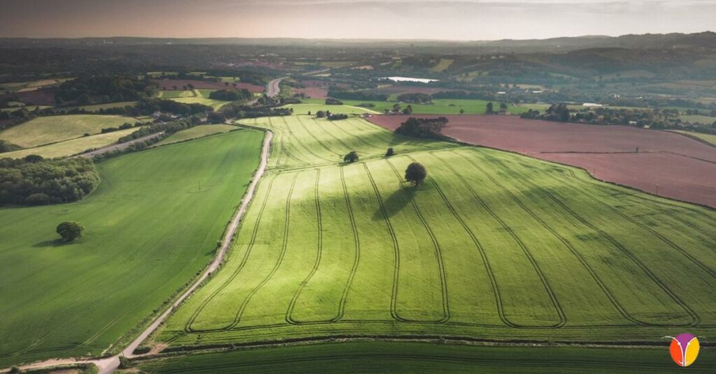 Desarrollo rural en castilla y leon